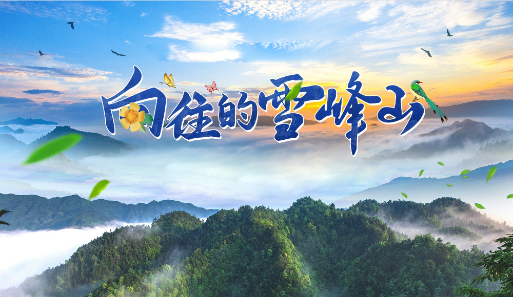 智慧安防,厕位系统,智能公厕,智慧城市,系统集成,建筑装饰,数据中心